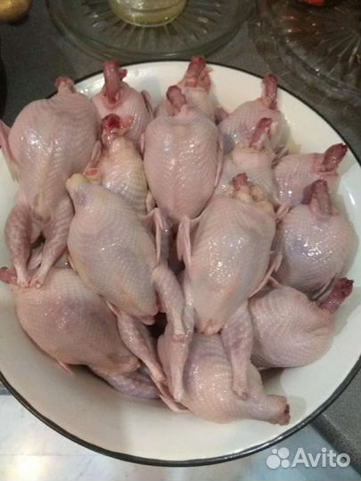 Мясо перепелов
