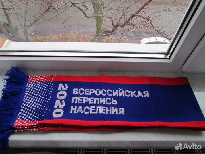 Шарф. Всероссийская перепись населения 2020