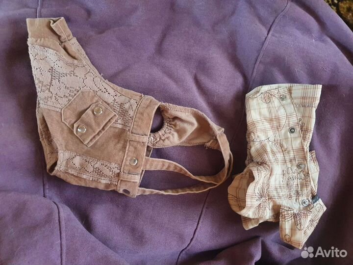 Одежда для собак мелких пород