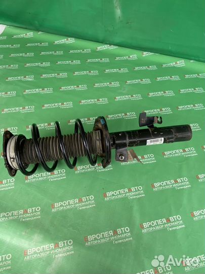 Амортизатор перед левый Ford Focus 2 2008-2011