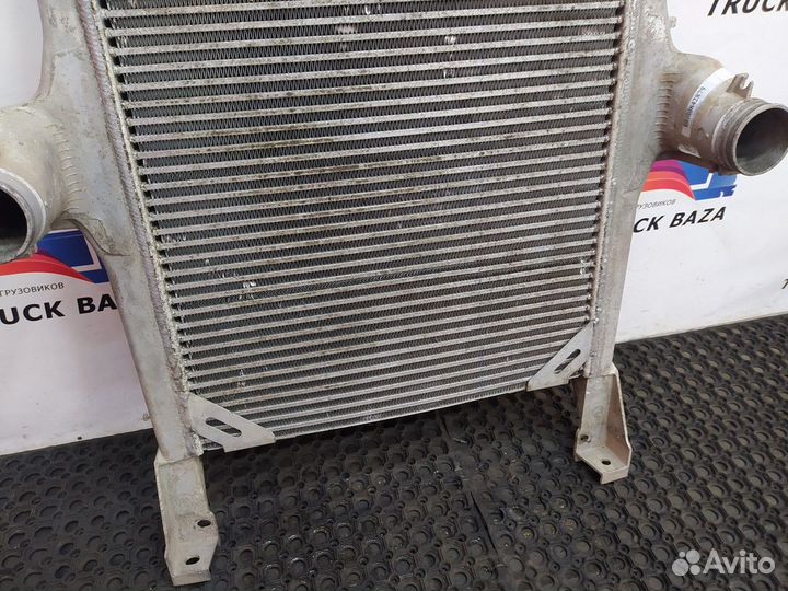 Интеркулер Iveco Stralis