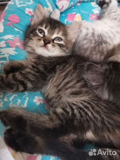 Малышка 1 месяц