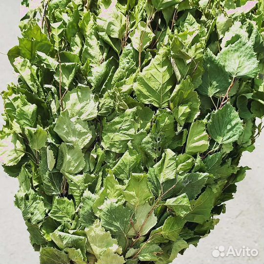 Березовые веники, и многое другое:)