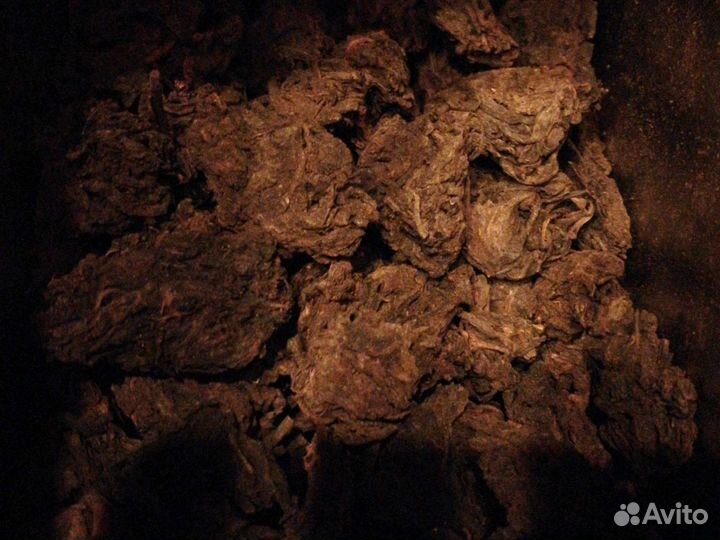 Чайные Головы шу средние 1гр