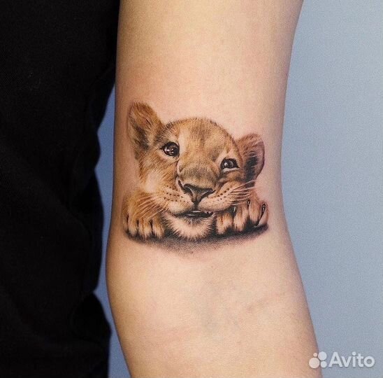 Обучение тату