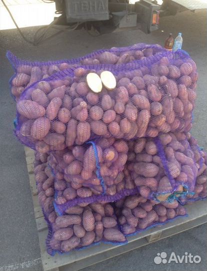 Картофель оптом