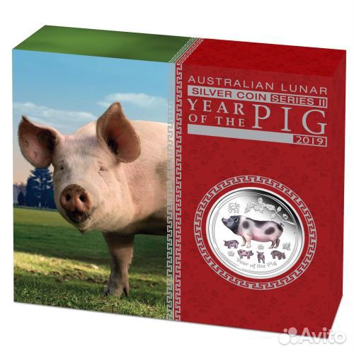 Год свиньи. Собаки. Обезьяны