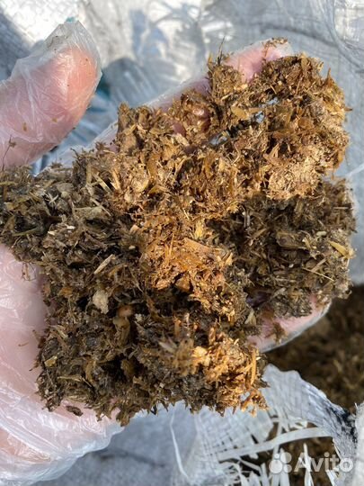 Куриный помёт