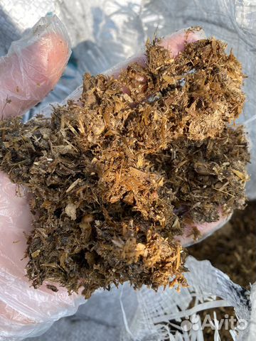 Куриный помёт