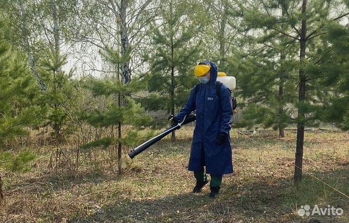 Обработка от клещей,грызунов,змей,мух