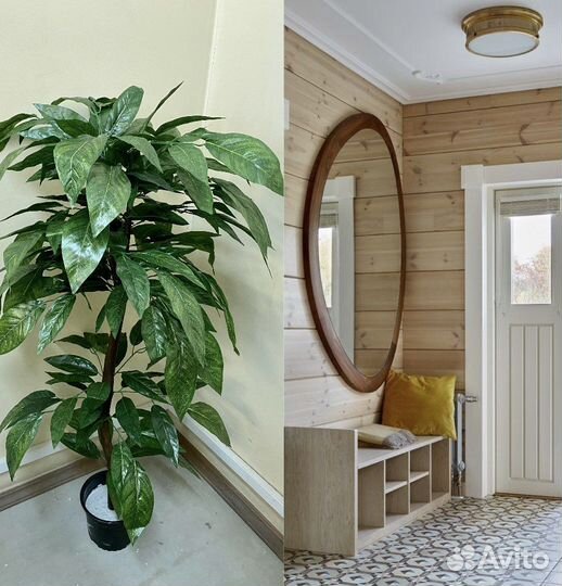 Дерево для дома