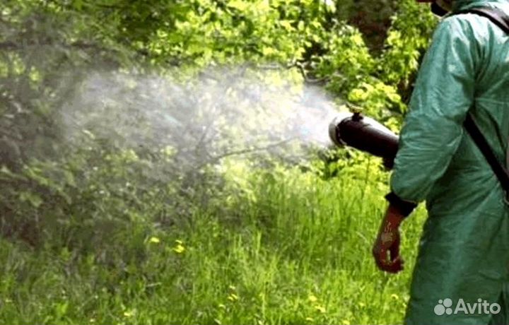 Средство от крыс тараканов и клопов