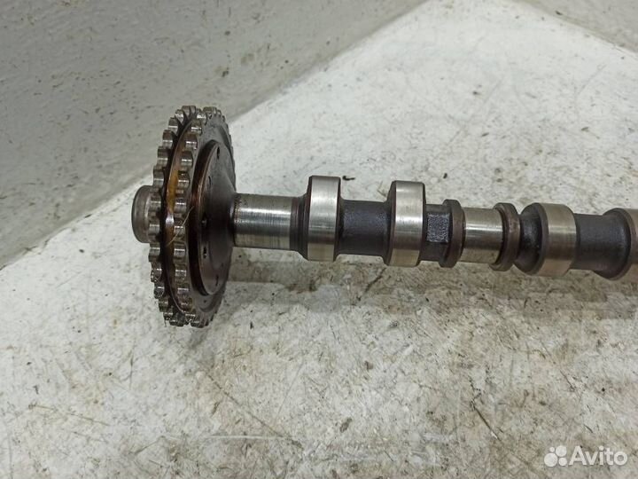Распредвал выпускной A1190502417