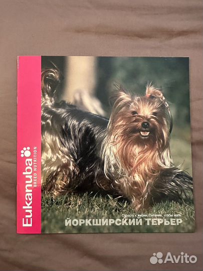 Книги о животных