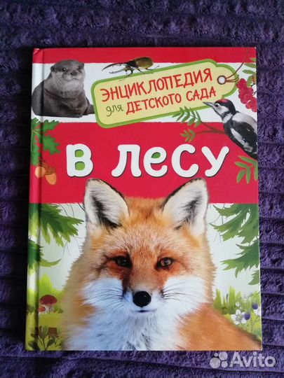 Детская энциклопедия росмэн