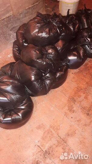 Перепелиный помёт (удобрение)