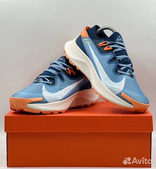 Кроссовки Nike Pegasus Trail 2 мужские p-8596