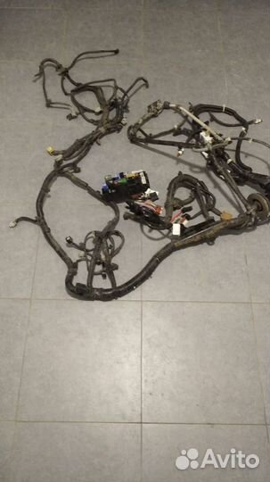 Проводка подкапотная Nissan X-Trail T31 2.0 бенз