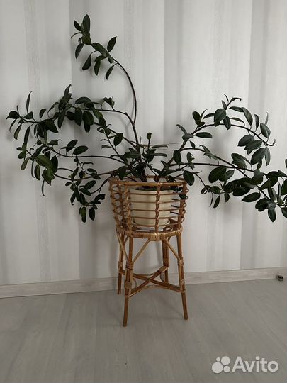 Напольное кашпо подставка для цветов