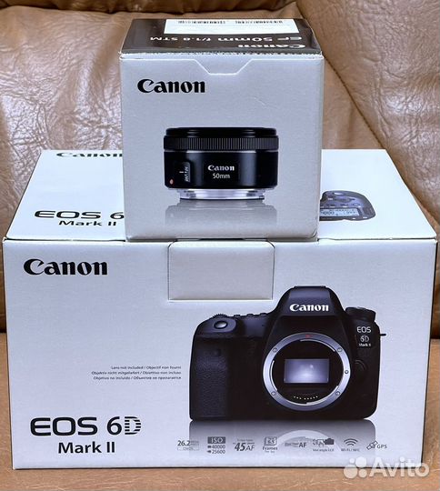 Canon EOS 6D Mark II+Canon EF 50mm 1.8 STM