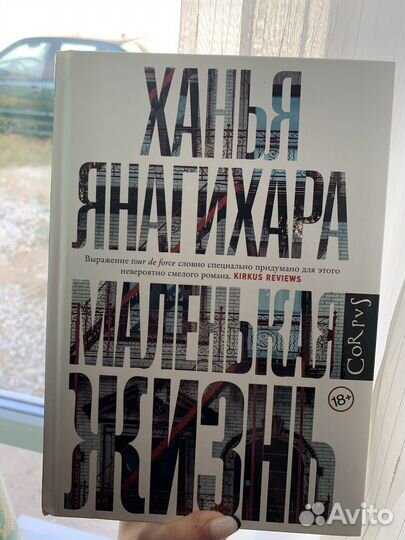 Маленькая жизнь ханья янагихара