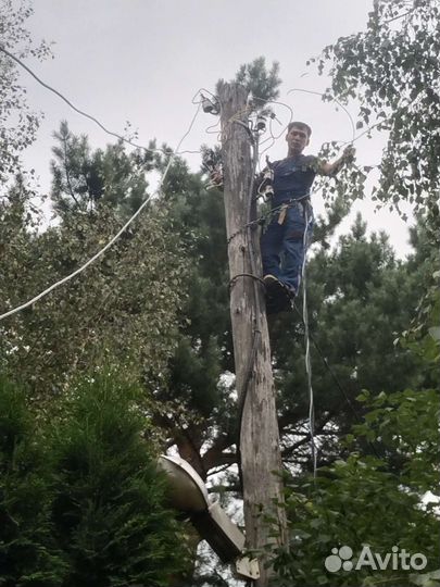 Услуги электрика электромонтаж любой сложности