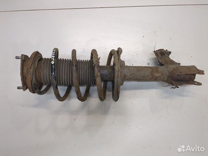Амортизатор подвески Nissan Almera N16, 2001