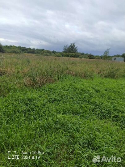 Земля чернозем плодородный грунт