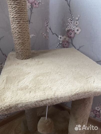 Когтеточка для кошек