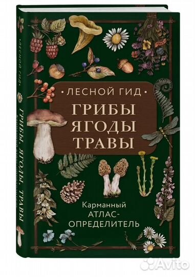 Книга Лесной гид грибы, ягоды, травы