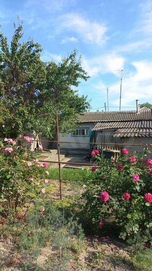 Дом 43,7 м² на участке 5,5 сот.