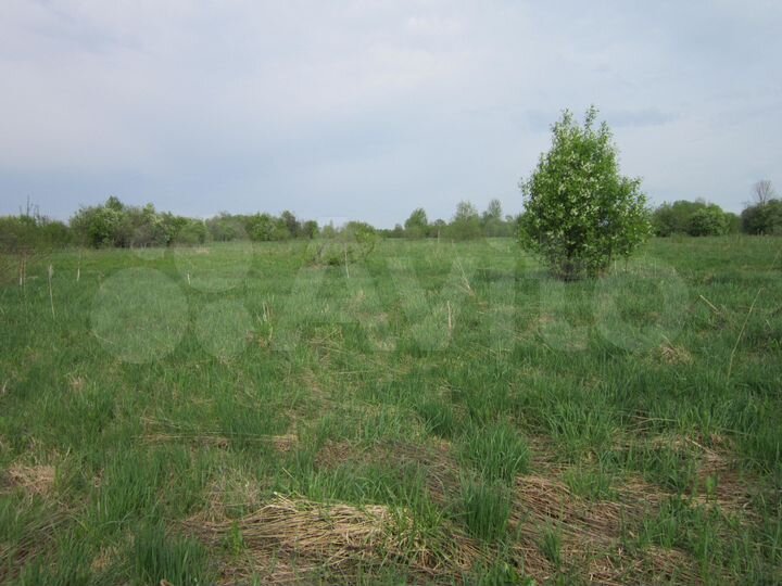 Участок 20 сот. (ИЖС)