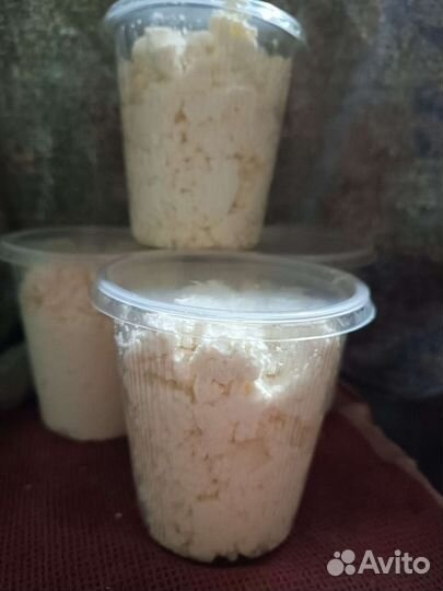 Козий творог