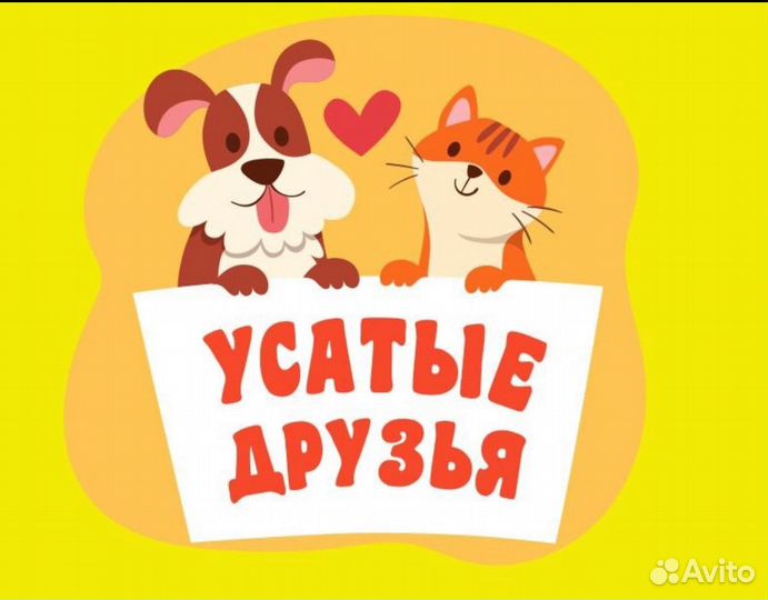 Администратор в зоосалон