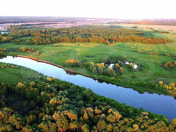 Участок 10 сот. (ИЖС)