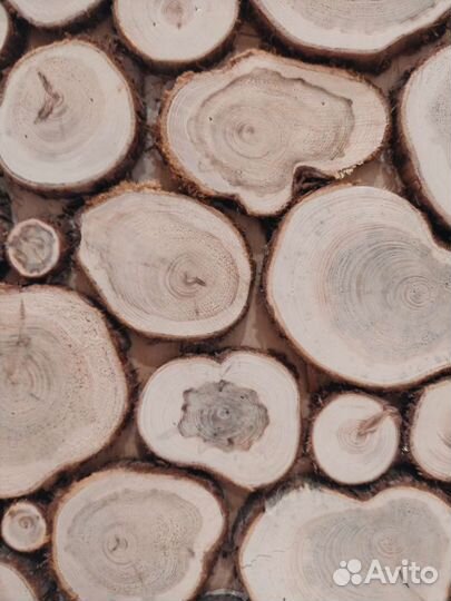 Панно из можжевельника