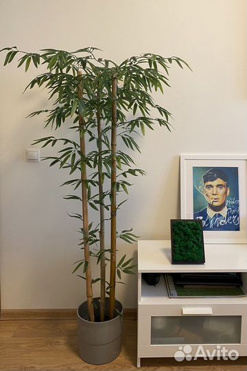 Искусственный бамбук
