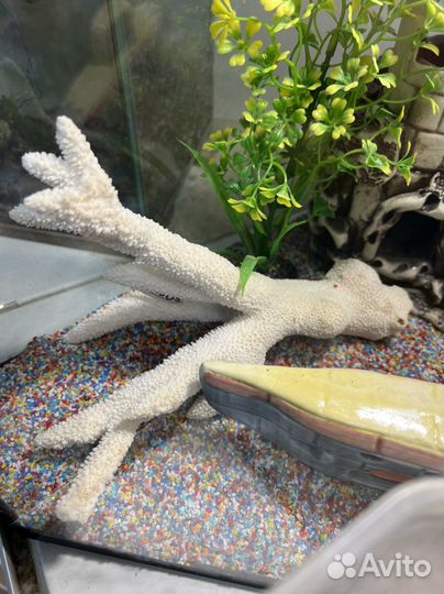 Украшения для аквариумов