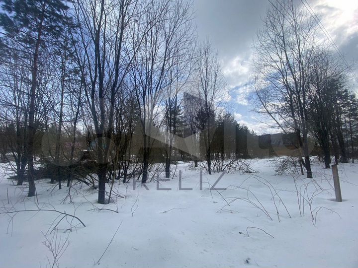 Участок 6 сот. (СНТ, ДНП)