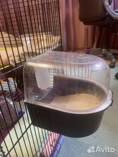 Клетка для хомяка/ крыс