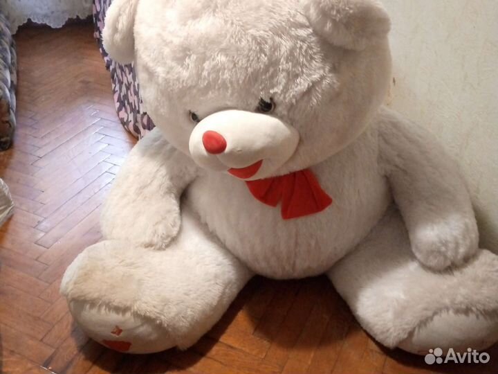 Большие плюшевые медведи Бесплатно