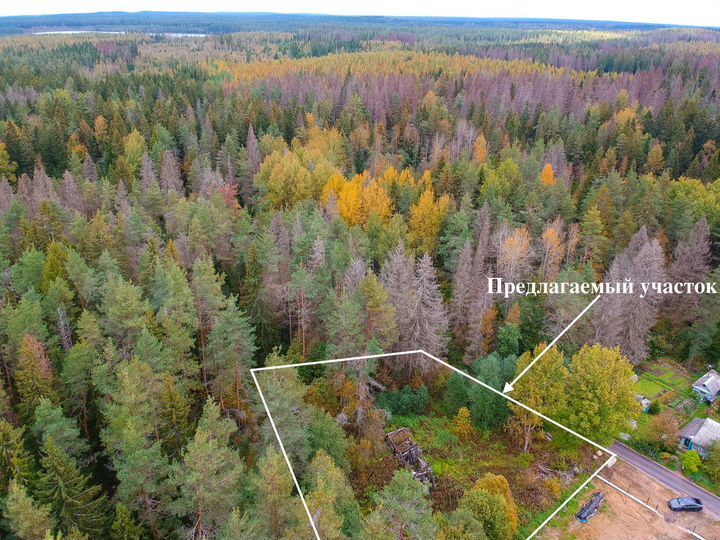 Участок 11,4 сот. (ИЖС)