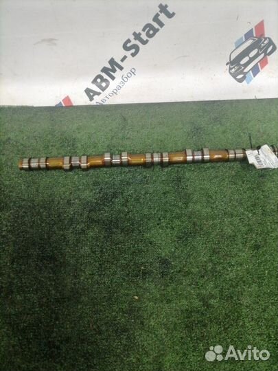 Распредвал впускной Bmw 523 F10 N52B25AF 2011