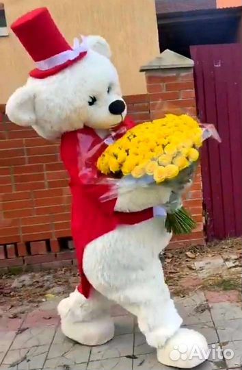 Экспресс поздравление от Потапыча и Зефирки