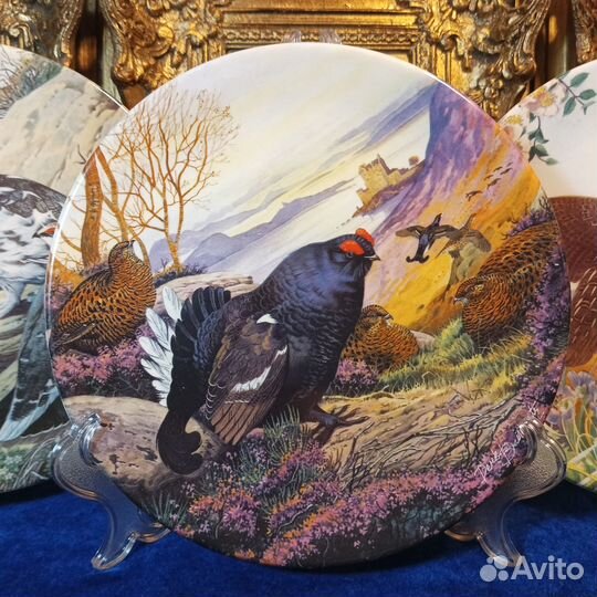 Дикие птицы.Коллекция.тарелки. Англия.Крафтон