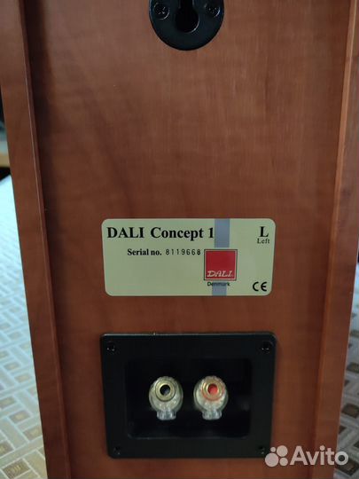Dali concept 1 новые