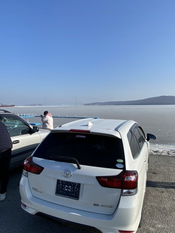Toyota Corolla Fielder: фото владельца