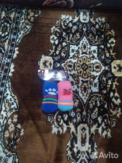 Вещи для собак маленьких пород