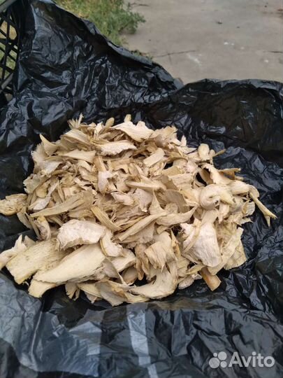 Корень хрена (сухой)