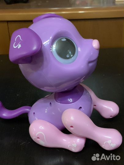 Собака робот